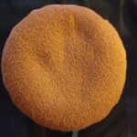 coussin de méditation motif feuillage orange peint à la main par aflorescence