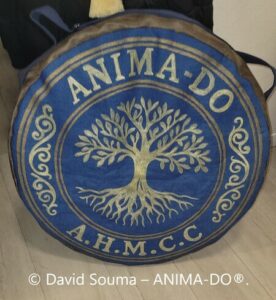 housse bandoulière pour tambour chamanique avec motif logo reproduit à la main par Aflorescence